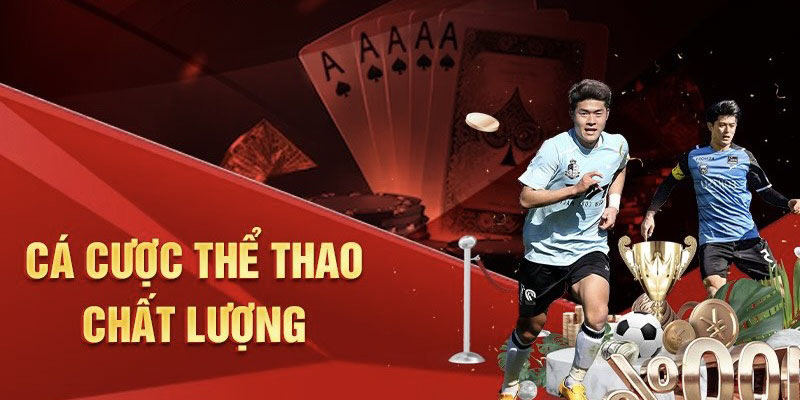 Hình thức cá cược đa dạng