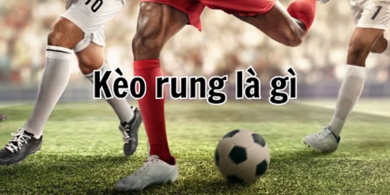 Kèo Rung Là Gì? Kinh Nghiệm Cược Bất Bại, Chuẩn Tới 99%